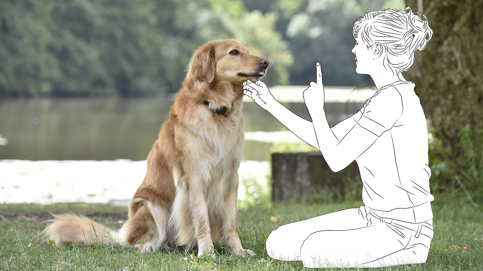 Frau trainiert Hund. Titelbild in Ausgabe 01 2022 der technischen kommunikation.
